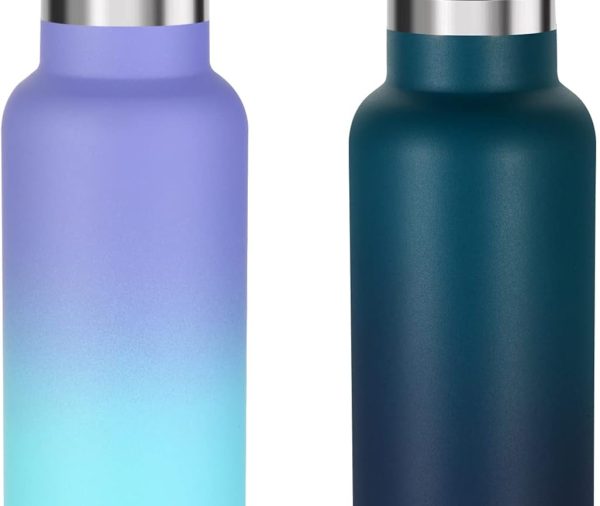 17oz Insulated Water Bottle Bulk 2 Pack,Stainless Steel Kids Water Bottles with Straw Lid,Double Wall Vacuum Metal Water Flask,Reusable Sports School Cups Keep Hot & Cold (Assorted,2 Set)